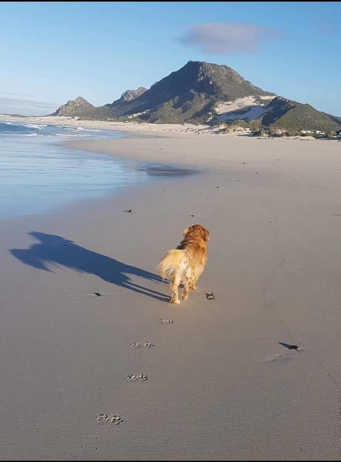 Brandys Beach House Bettyʼs Bay Kültér fotó