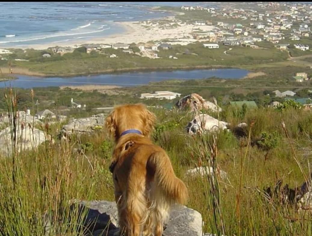 Brandys Beach House Bettyʼs Bay Kültér fotó